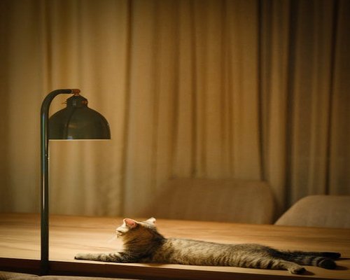 gentle evening stretching at home